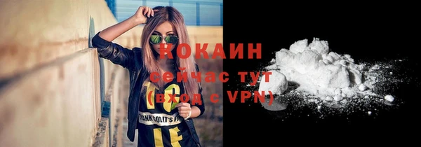 ПСИЛОЦИБИНОВЫЕ ГРИБЫ Аркадак