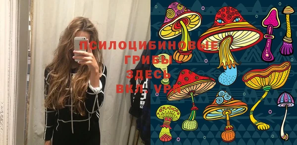 ПСИЛОЦИБИНОВЫЕ ГРИБЫ Аркадак