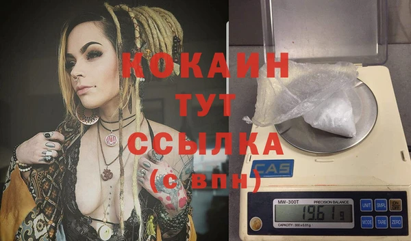 стафф Армянск