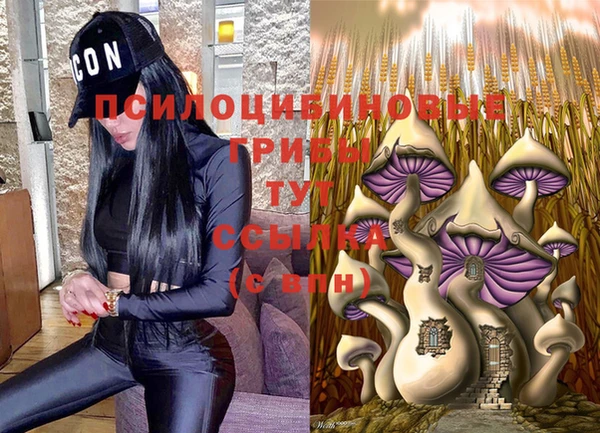 не бодяженный Арсеньев