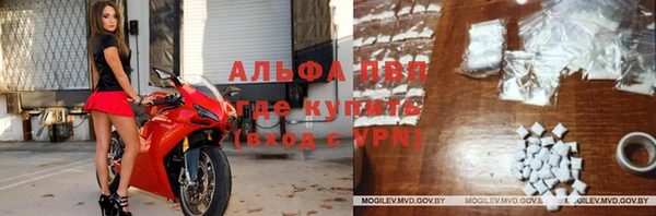 ПСИЛОЦИБИНОВЫЕ ГРИБЫ Аркадак